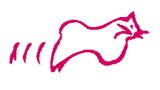 logo-cat-2-logo3